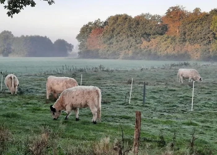 45 Pod Hébergement de vacances